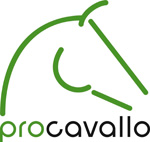 procavallo-blog